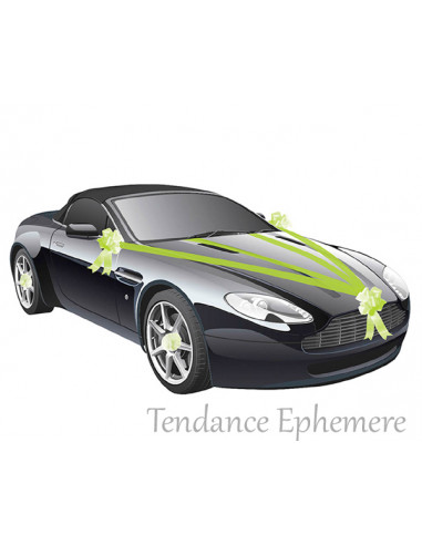 Décorations de tableau de bord de voiture - Cactus vert - Décoration  d'intérieur de voiture - Cadeau créatif pour fille, femme, homme,  anniversaire